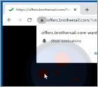Brothersail.com Ads