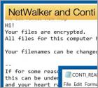 NetWalker and Conti Challenge for the Ransomware Crown