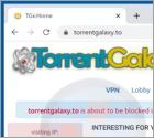 Torrentgalaxy.to Suspicious Website
