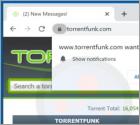 Torrentfunk.com Suspicious Website