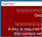 NIGGERWARE Ransomware