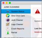 Disk Clean Pro Unwanted Application (Mac)
