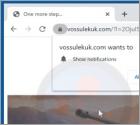 Vossulekuk.com Ads