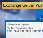 Exchange Server Vulnerabilities used to spread Ransomware