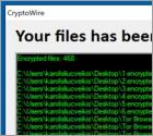 CryptoWire Ransomware