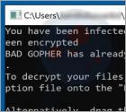 Gopher Ransomware
