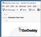 GoDaddy Email Scam