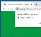 Pigrod.host Ads