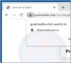 Goalmedia Ads