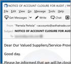 NOTICE OF ACCOUNT CLOSURE FOR AUDIT Email Virus