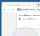 Hisurnhuh.com Ads
