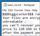 BiggyLocker Ransomware