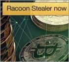 Racoon Stealer now going after your Crypto