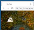 Nuthab Browser Hijacker