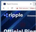 Ripple Giveaway Scam