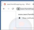 Searchandshopping.org Redirect