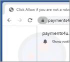 Payments4u.org Ads