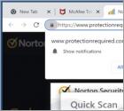 Protectionrequired.com Ads