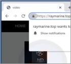 Raymarine.top Ads