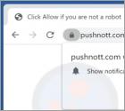 Pushnott.com Ads