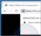 Detectvid.com Ads