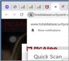 Totaldatasecuritycentr.com Ads