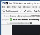 Binance Email Scam