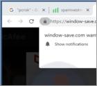 Window-save.com Ads