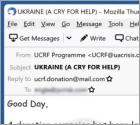 Donation Campaign Has Been Launched To Support Ukraine Email Scam
