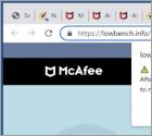 McAfee Total Protection Has Expired POP-UP Scam