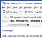 DHL Express Import Shipment On Hold Email Virus
