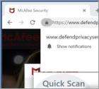 Defendprivacyservice.com Ads