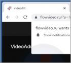 Flowvideo.ru Ads