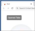 Cricket Start Browser Hijacker