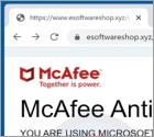 MICROSOFT WINDOWS With Pre-installed Mcafee POP-UP Scam