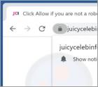 Juicycelebinfo.com Ads