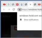 Windows-hold.com Ads
