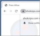 Shoksips.com Ads