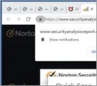 Securityanalysisreport.com Ads