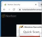 Norton Security - Your PC Might Be Infected With Viruses! POP-UP Scam