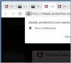 Steady-protection.com Ads