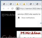 Service-2022.site Ads