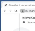 Mscmart.com Ads