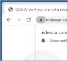 Nidescar.com Ads