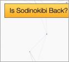 Is Sodinokibi Back?