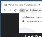 Catchlucksurvey.top Ads