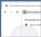 Showadscity.com Ads