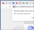 Filedownloader.cloud Ads