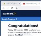 Walmart Loyalty Program POP-UP Scam