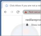 Nedilarepron.com Ads